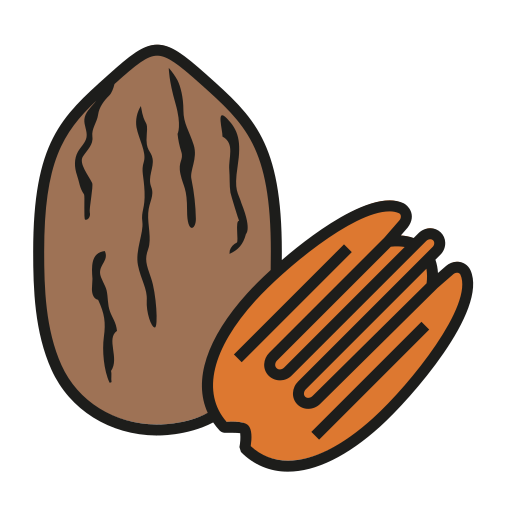 pecan Generic Outline Color icona