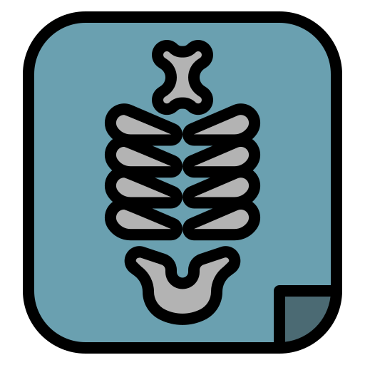röntgen Generic Outline Color icon
