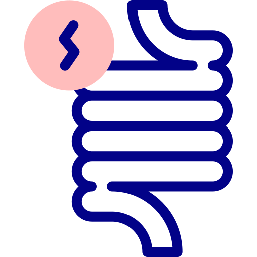 Intestine Detailed Mixed Lineal color icon