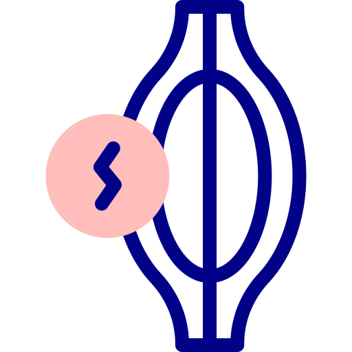근육 Detailed Mixed Lineal color icon