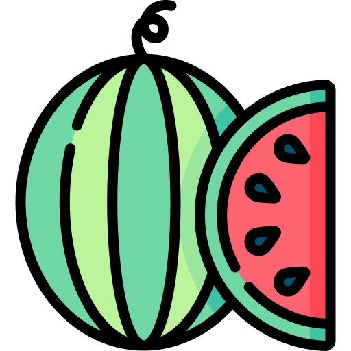 Watermelon Special Lineal color icon