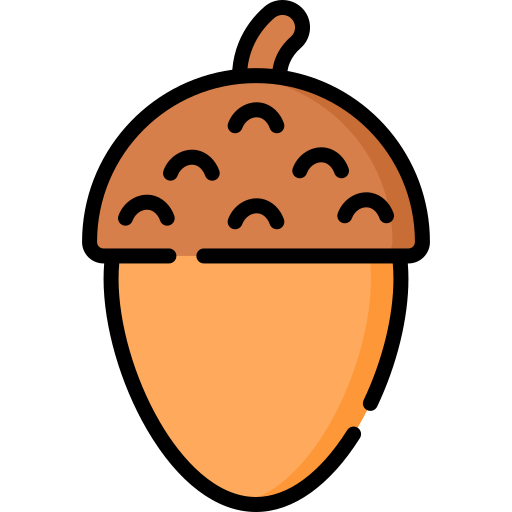 Acorn Special Lineal color icon