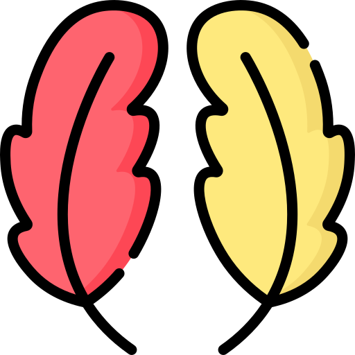 Feathers Special Lineal color icon