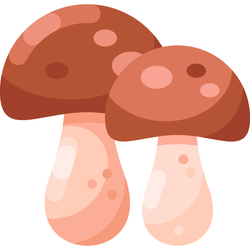Mushrooms Special Shine Flat icon