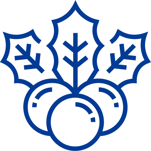 muérdago Detailed bright Lineal icono