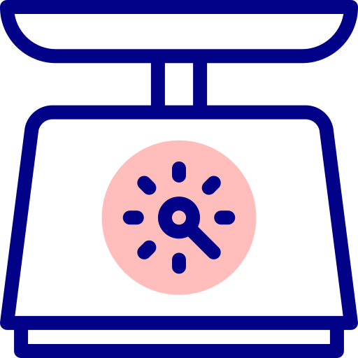 Weight Detailed Mixed Lineal color icon