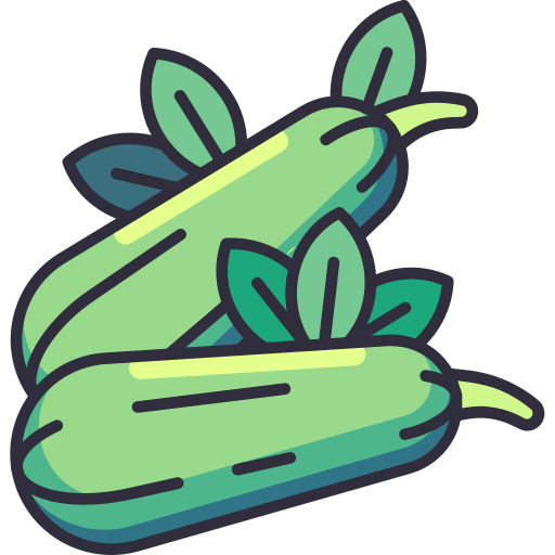 Courgette Generic Outline Color icon