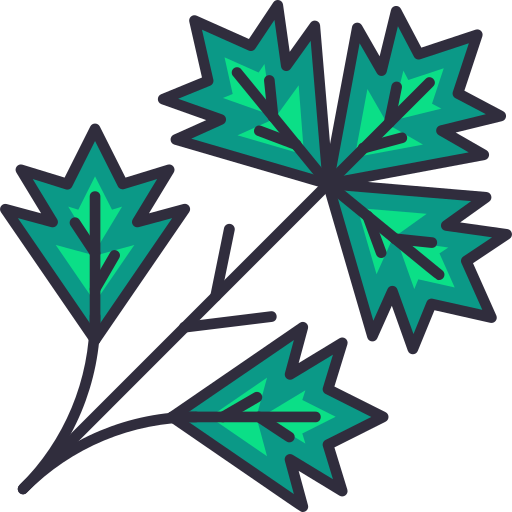 Parsley Generic Outline Color icon