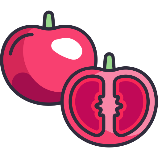 tomate Generic Outline Color icono