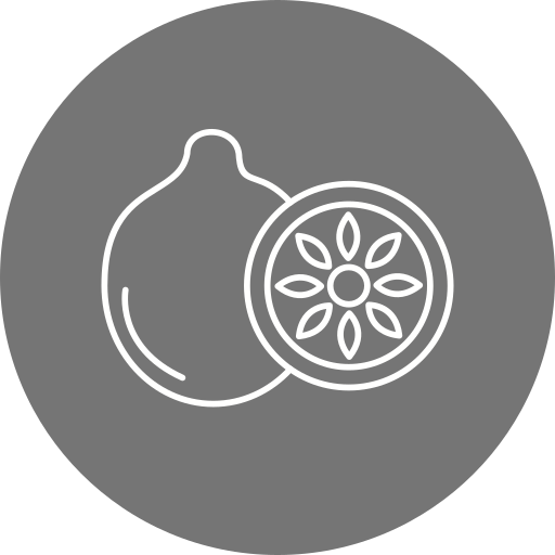 kiwi Generic Circular Icône