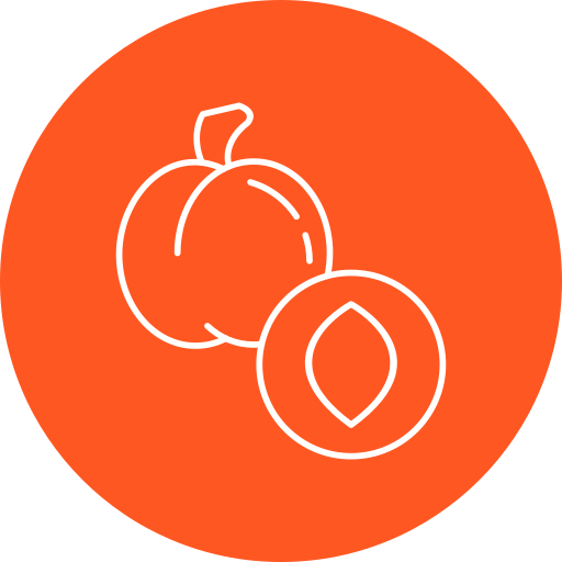 abrikoos Generic Circular icoon