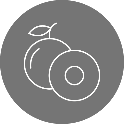 longan Generic Circular иконка