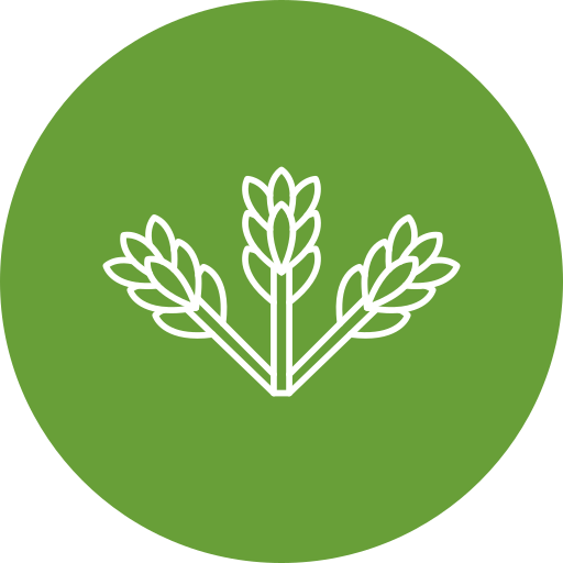 Asparagus Generic Circular icon