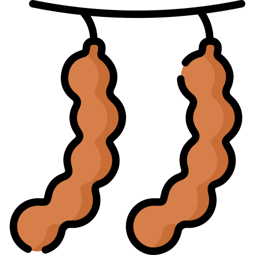 tamarindo Special Lineal color icono