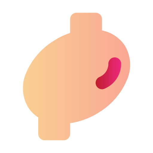 Body organ Generic Flat Gradient icon