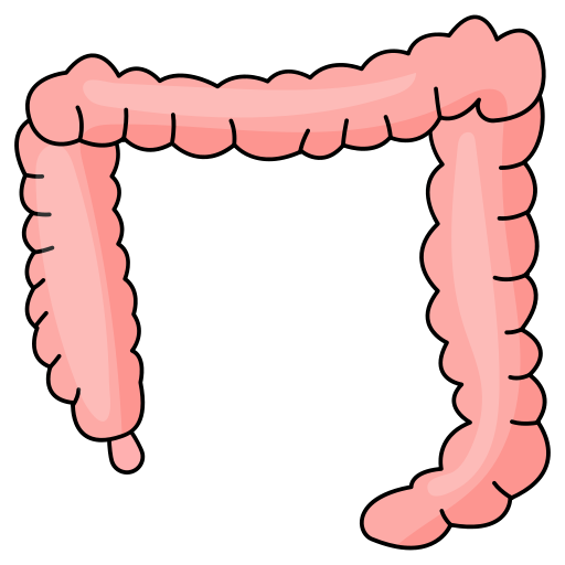 Large Intestine Generic Thin Outline Color icon