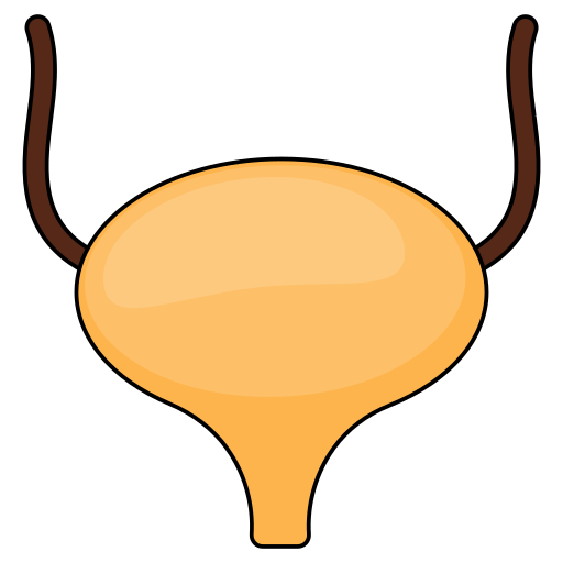 Urinary Generic Thin Outline Color icon