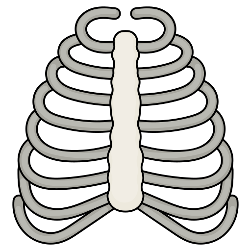 Ribs Generic Thin Outline Color icon