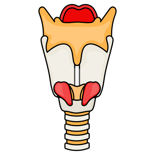 columna vertebral Generic Thin Outline Color icono