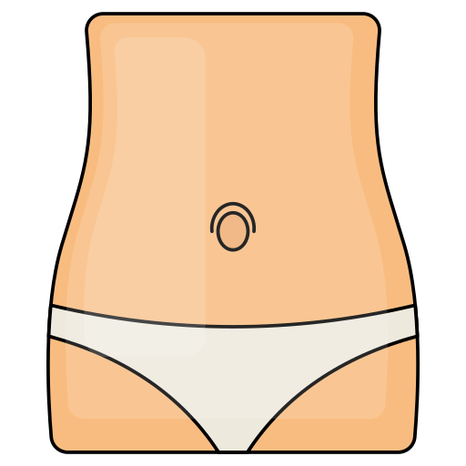 bauch Generic Thin Outline Color icon