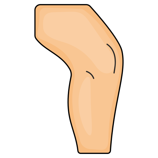 knie Generic Thin Outline Color icon