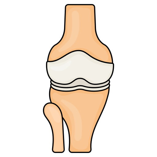 Knee joint Generic Thin Outline Color icon