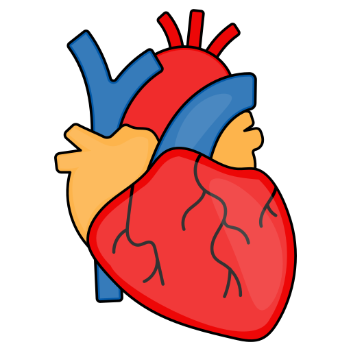 心臓 Generic Thin Outline Color icon