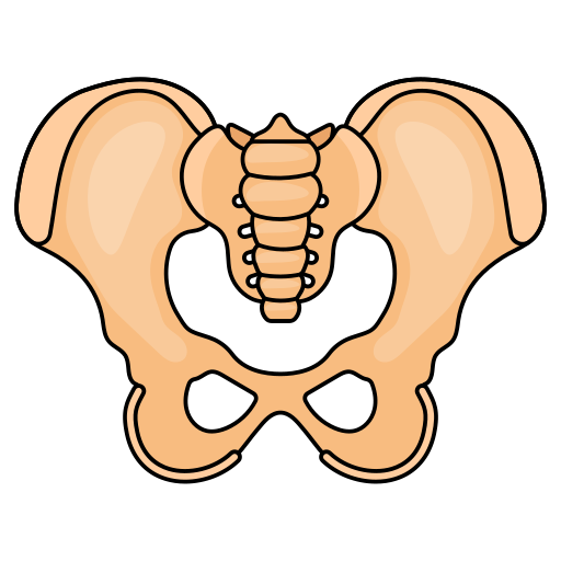 Pelvis Generic Thin Outline Color icon