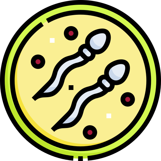 Sperm Detailed Straight Lineal color icon