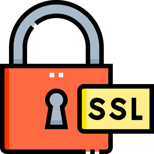 ssl Detailed Straight Lineal color Ícone