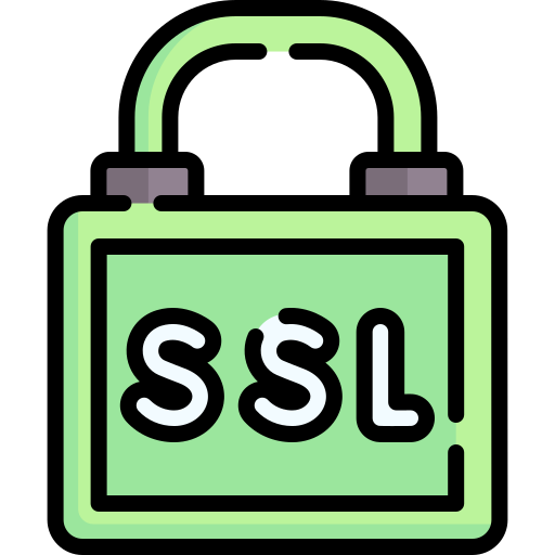 Ssl Special Lineal color icon