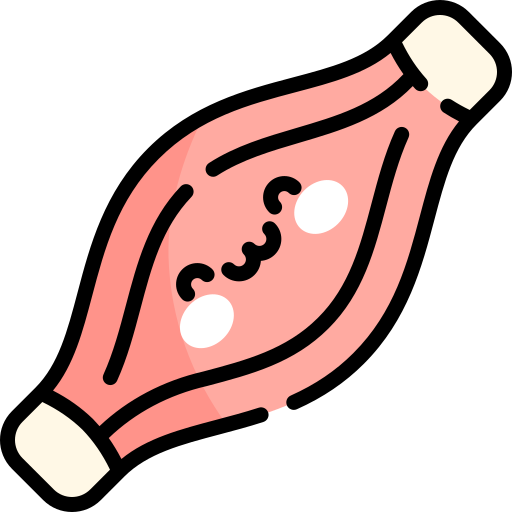 Muscle Kawaii Lineal color icon