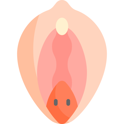 Vagina Kawaii Flat icon