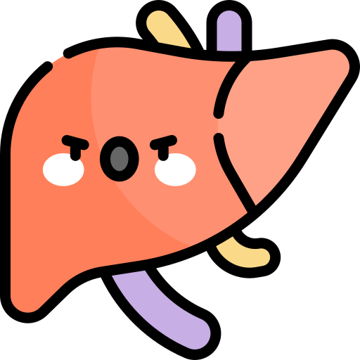 肝臓 Kawaii Lineal color icon