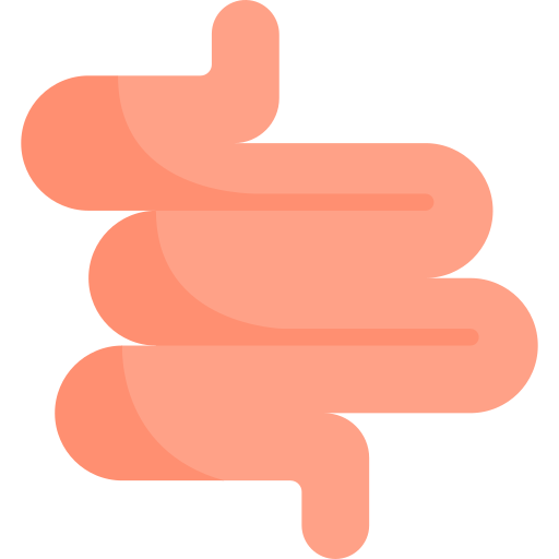 intestino Kawaii Flat icono