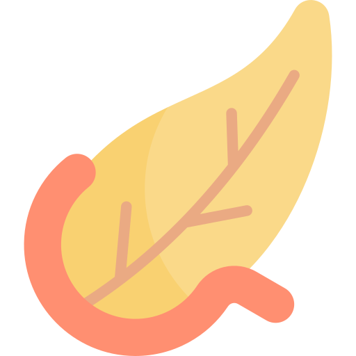 Pancreas Kawaii Flat icon