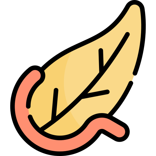 Pancreas Kawaii Lineal color icon