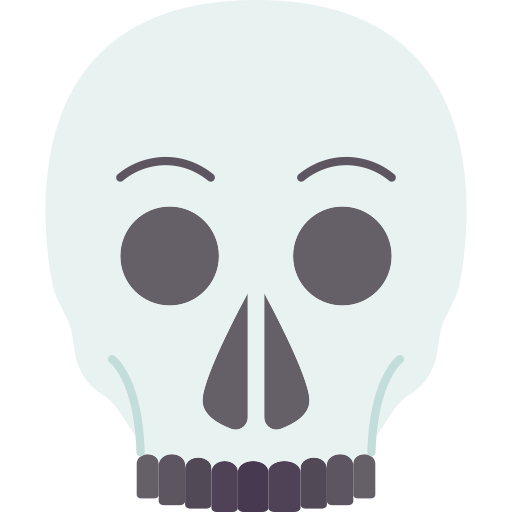 Skull Amethys Design Flat icon