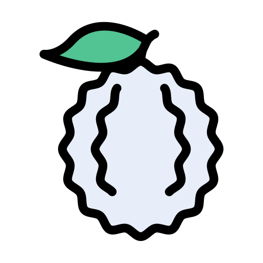 Lychee Vector Stall Lineal Color icon