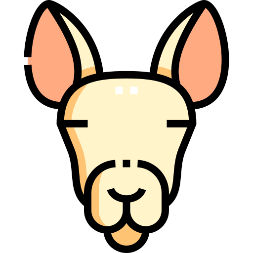 kangoeroe Detailed Straight Lineal color icoon