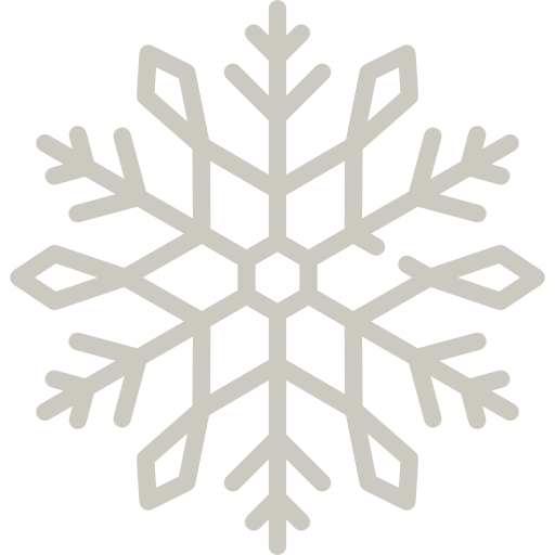 sneeuwvlok Special Lineal color icoon