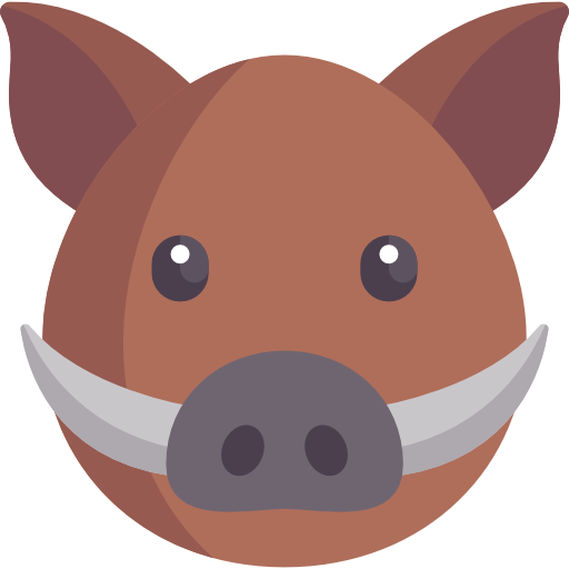 Boar Special Flat icon