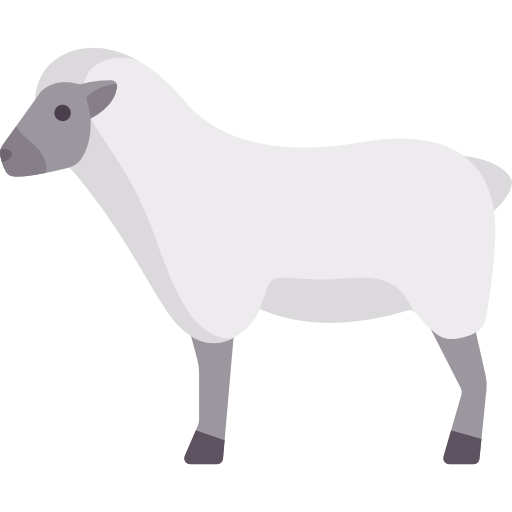 owca Special Flat ikona