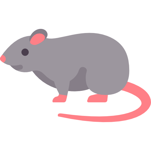 rat Special Flat icoon
