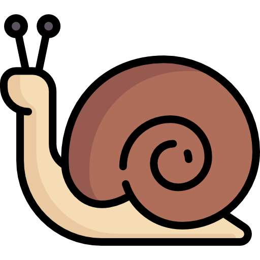 caracol Special Lineal color icono