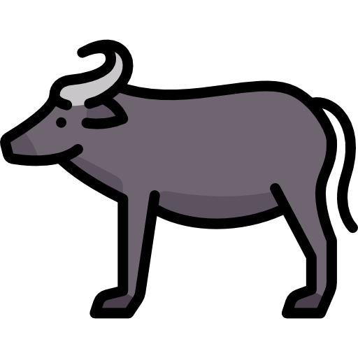bufalo Special Lineal color icona