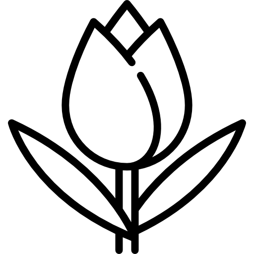 Тюльпан Special Lineal иконка