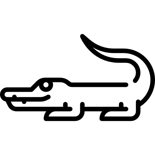 cocodrilo Special Lineal icono
