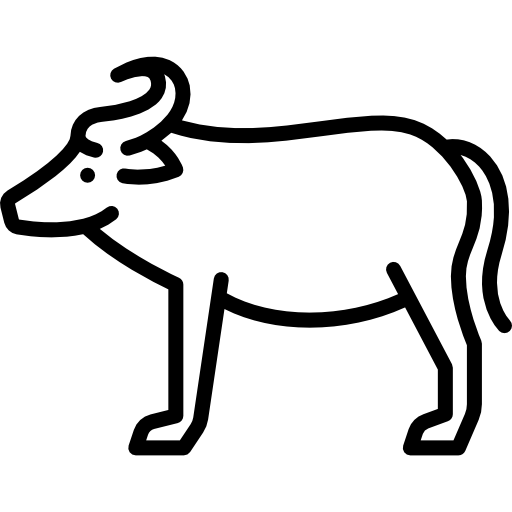 bufalo Special Lineal icona
