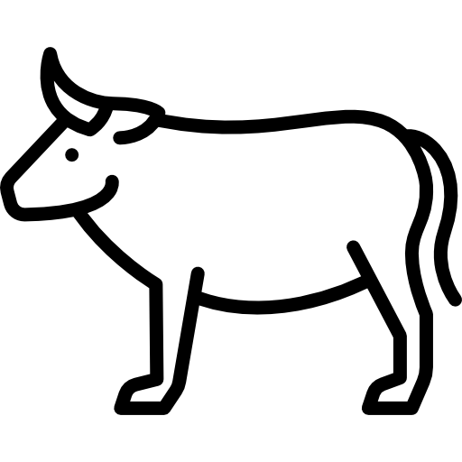 buey Special Lineal icono